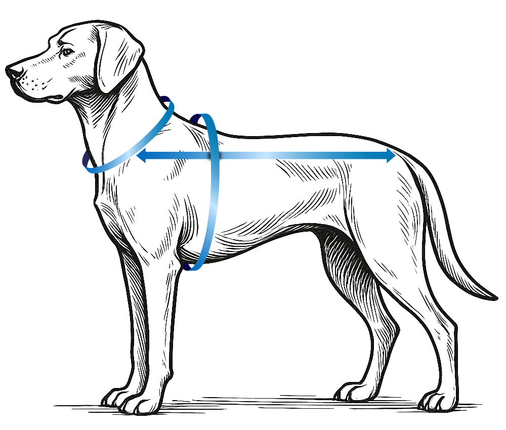 Dog winter coat